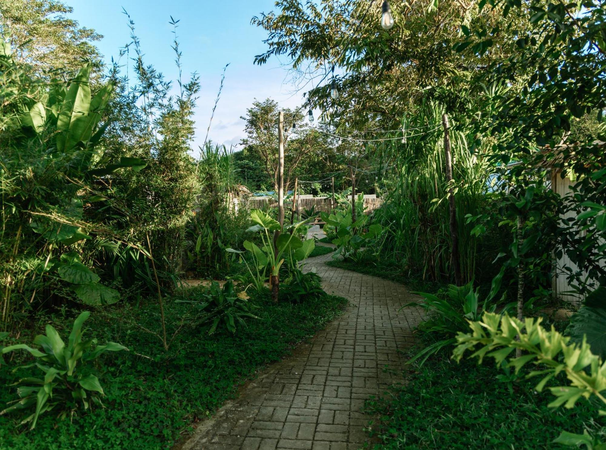 Domes And Dreams Lio Glamping El Nido Exterior foto